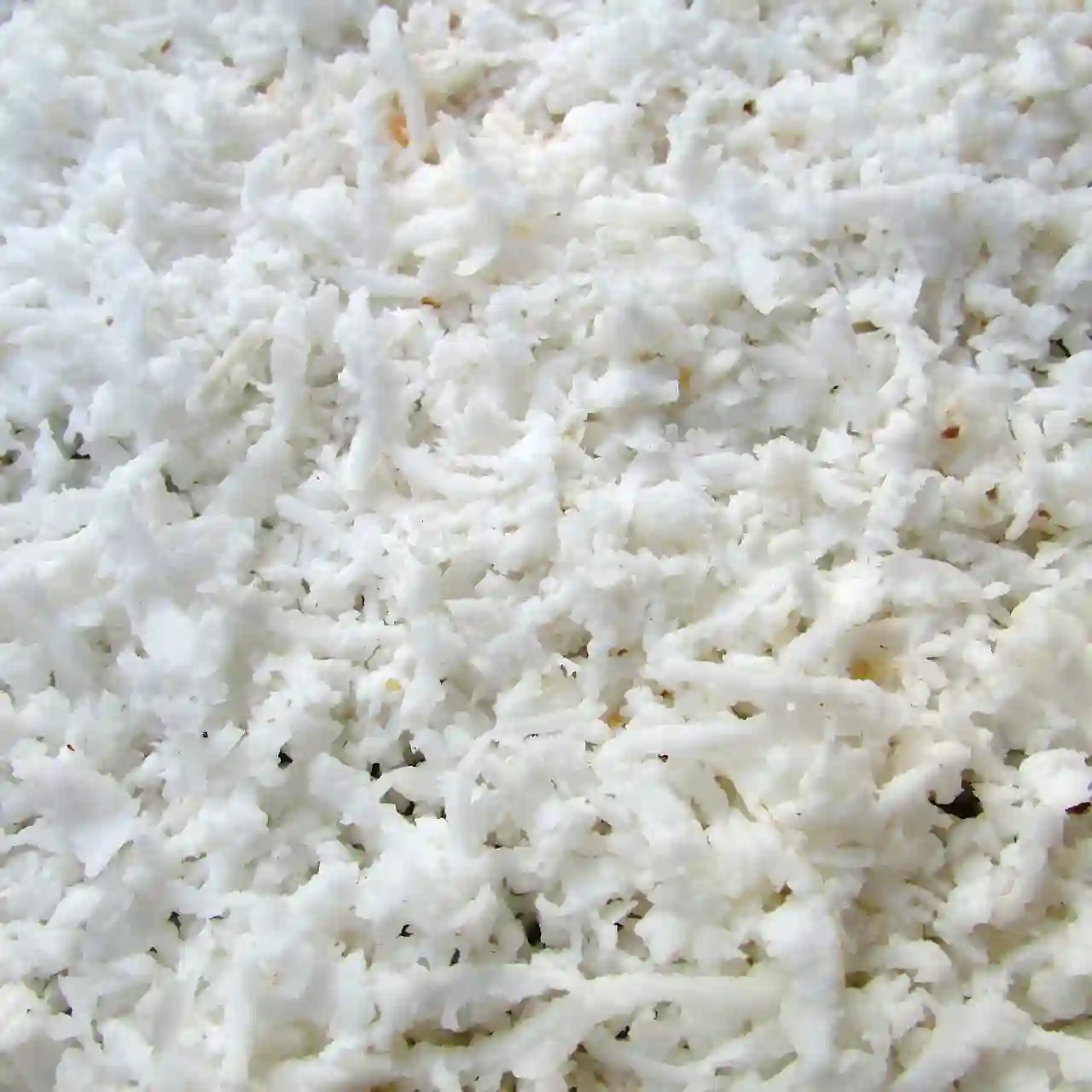 flocon de noix de coco