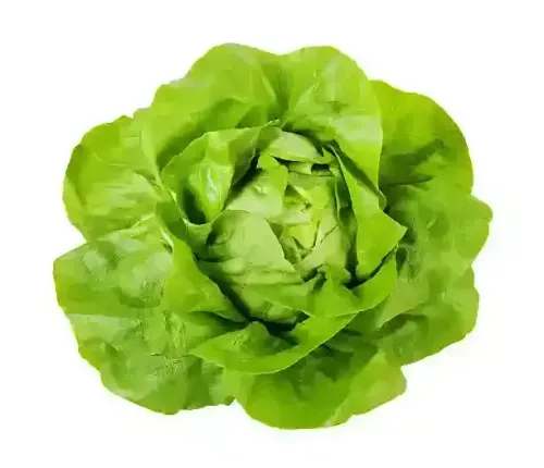salade